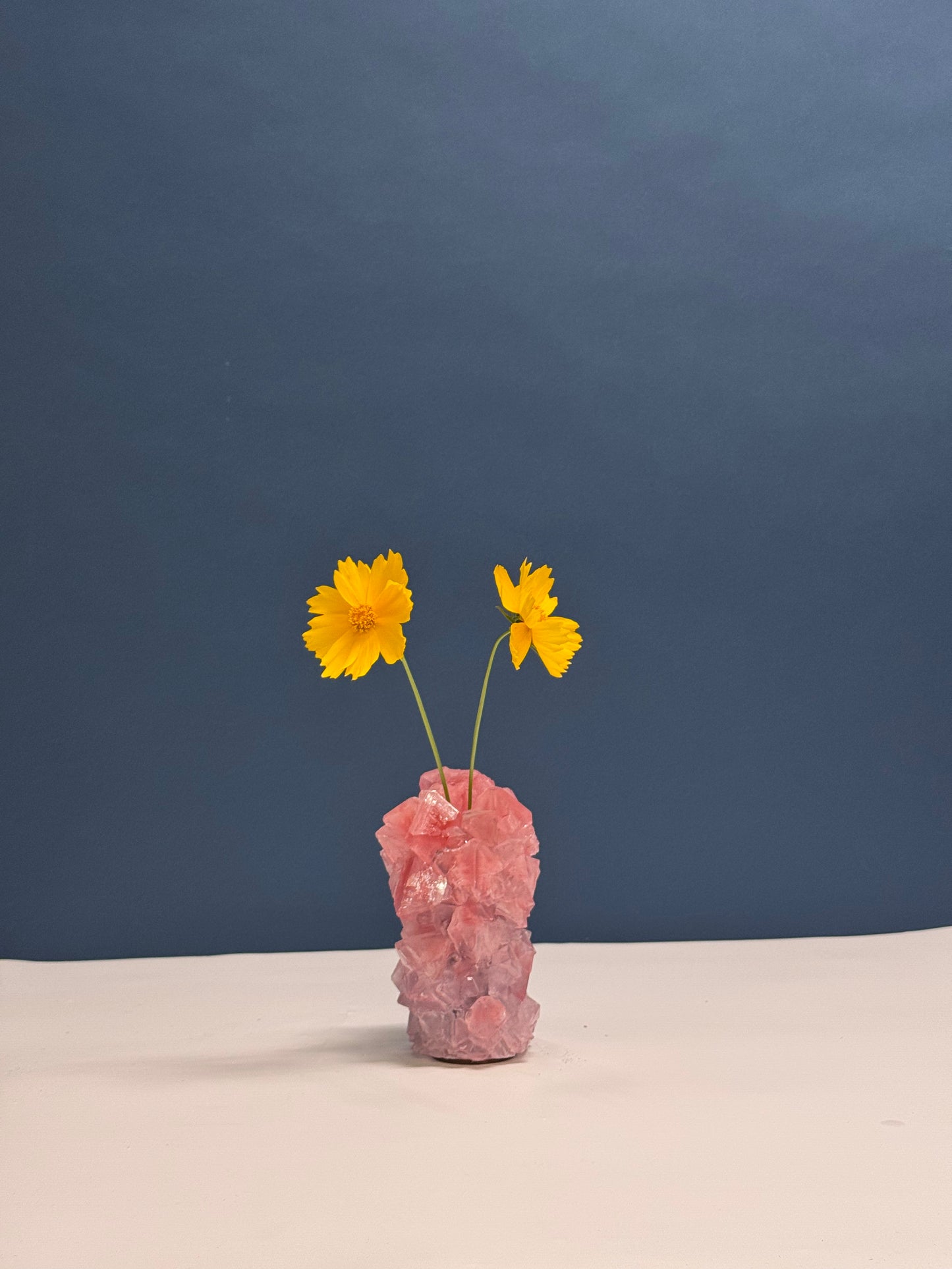 Mini Vase - Rosy