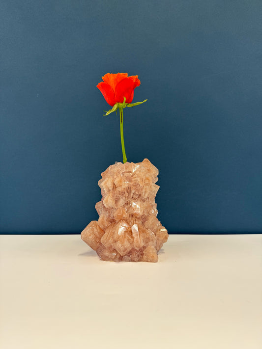 Mini PLUS Vase - Creamy Rose