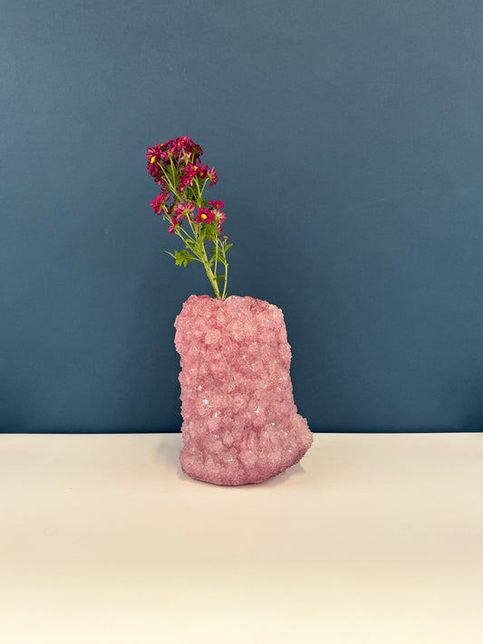 Small PLUS Vase - Radish