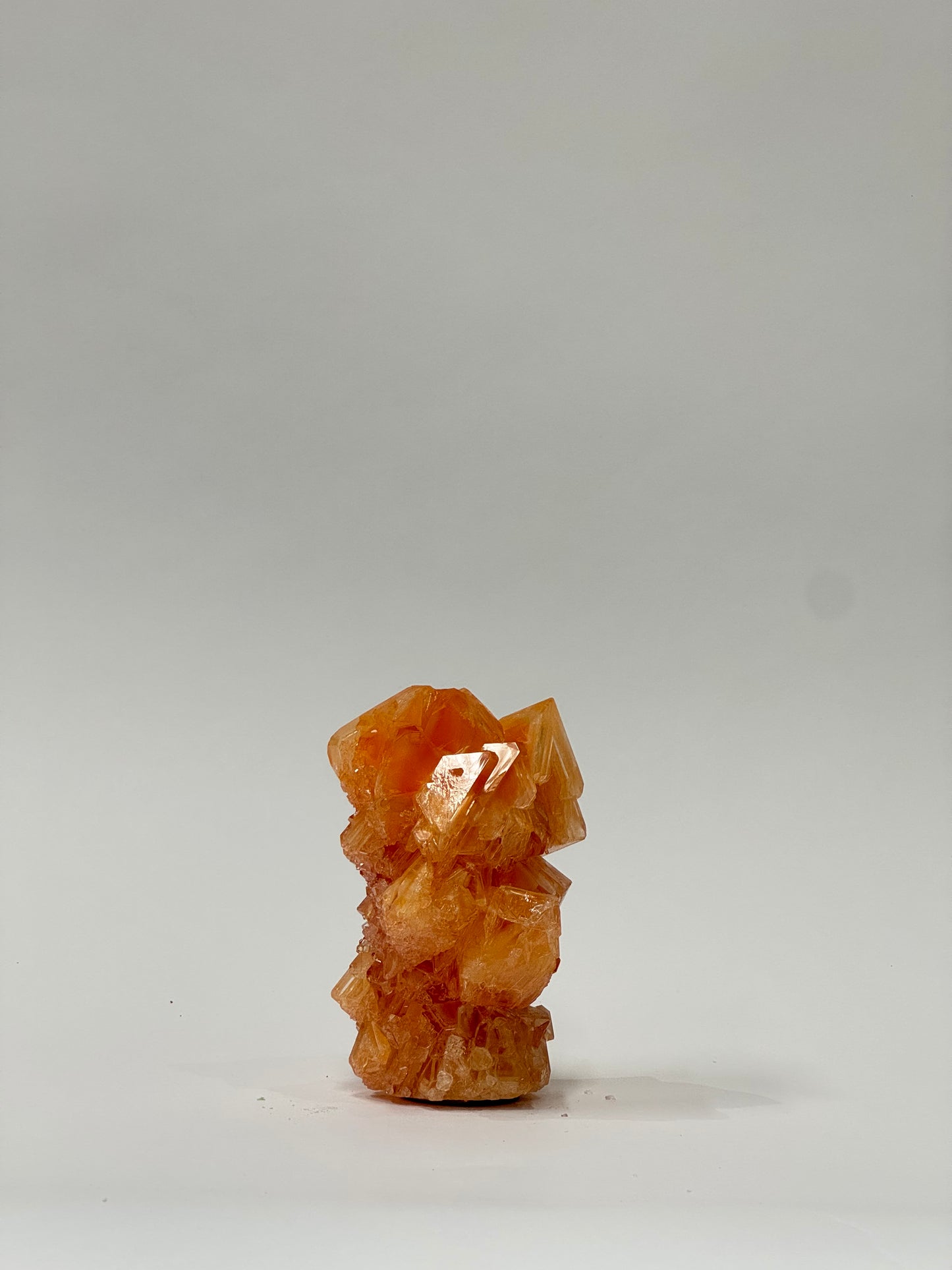 Mini Vase - Orange