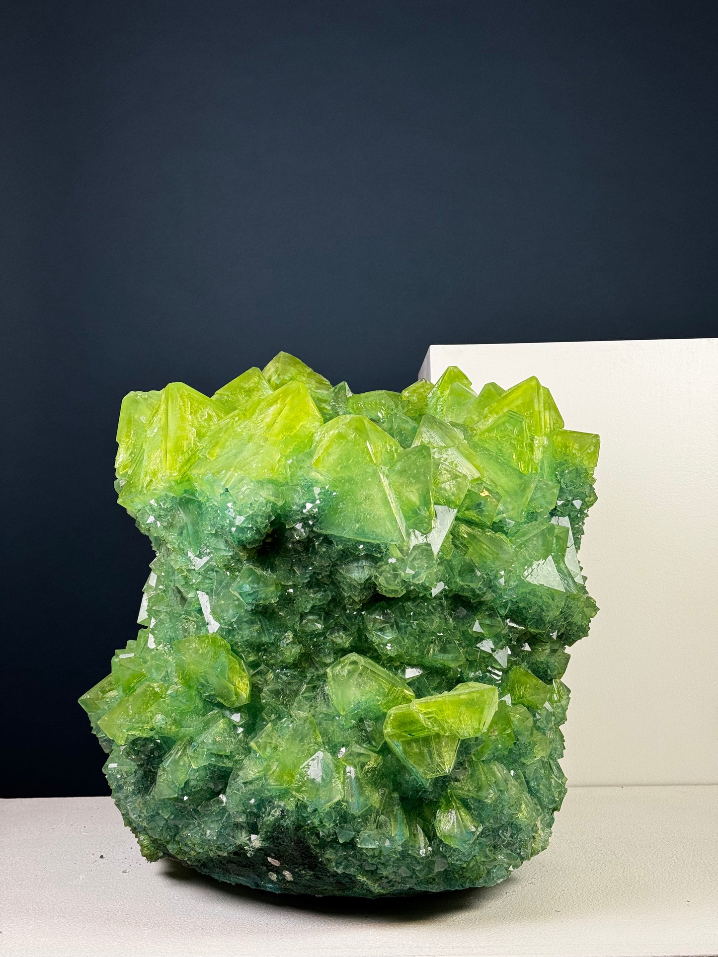 Crystal Vase Large - Kermit