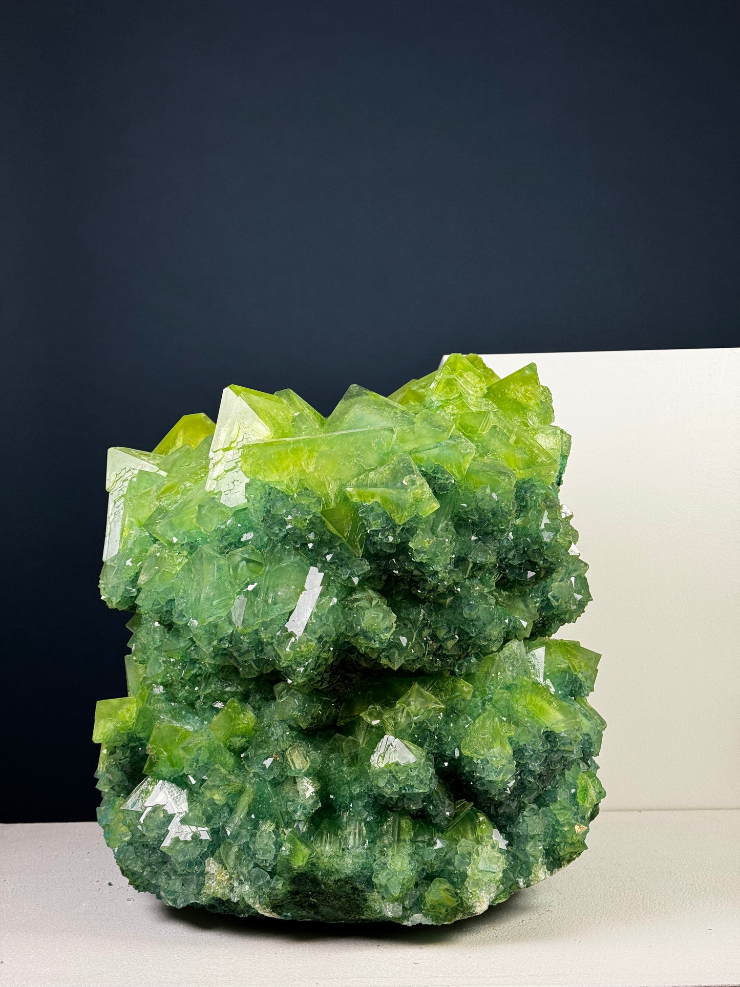 Crystal Vase Large - Kermit