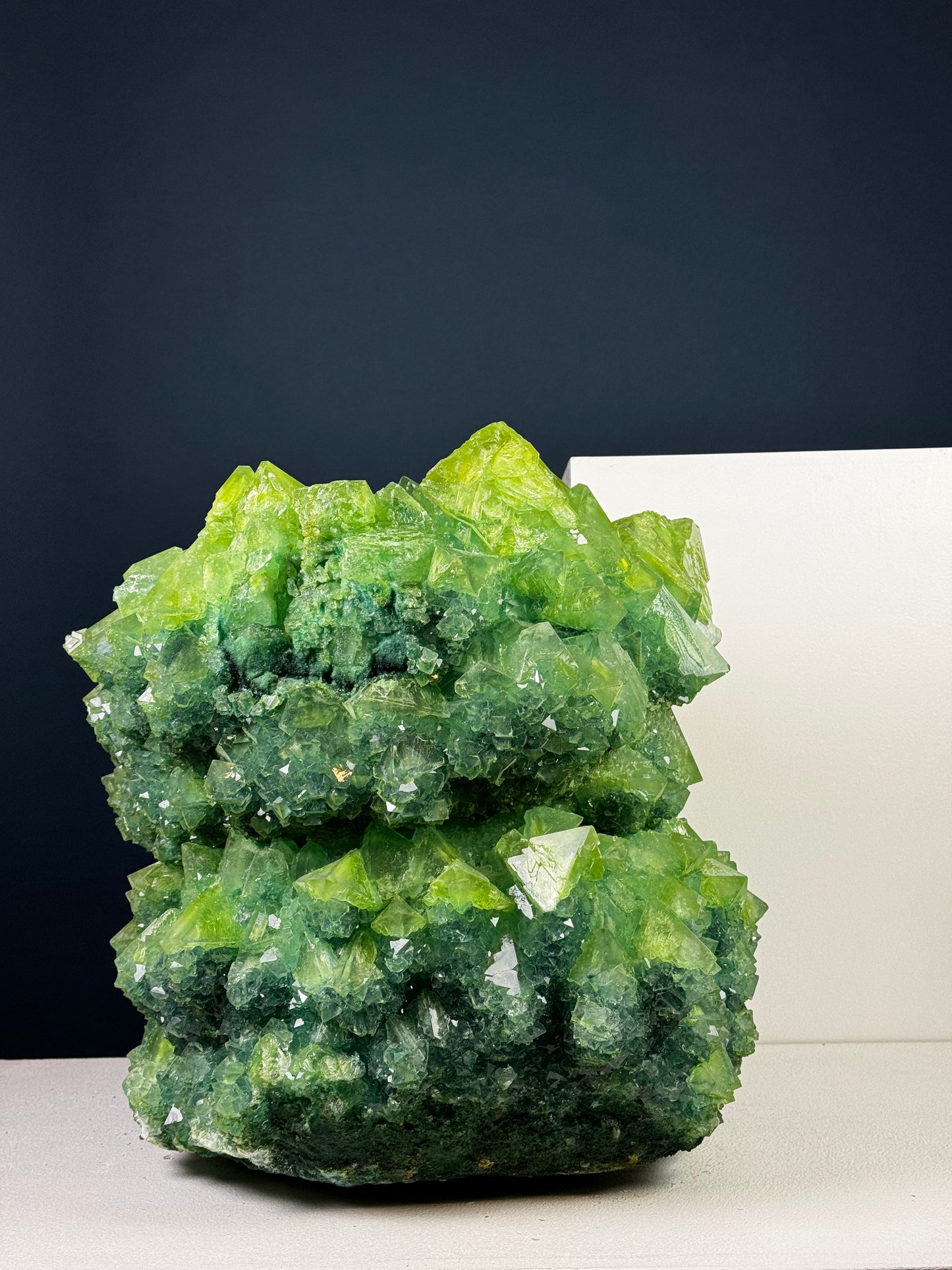 Crystal Vase Large - Kermit