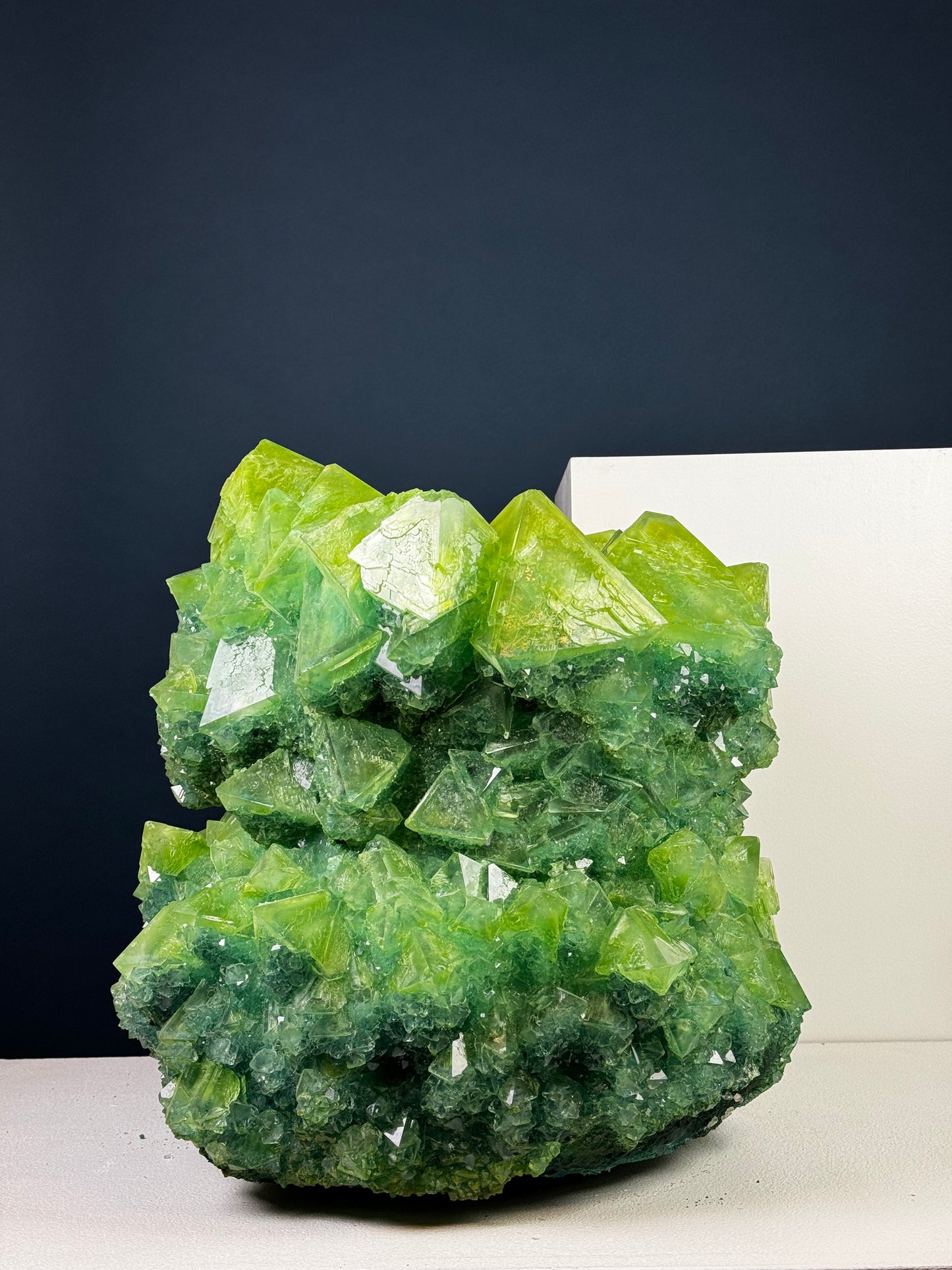 Crystal Vase Large - Kermit