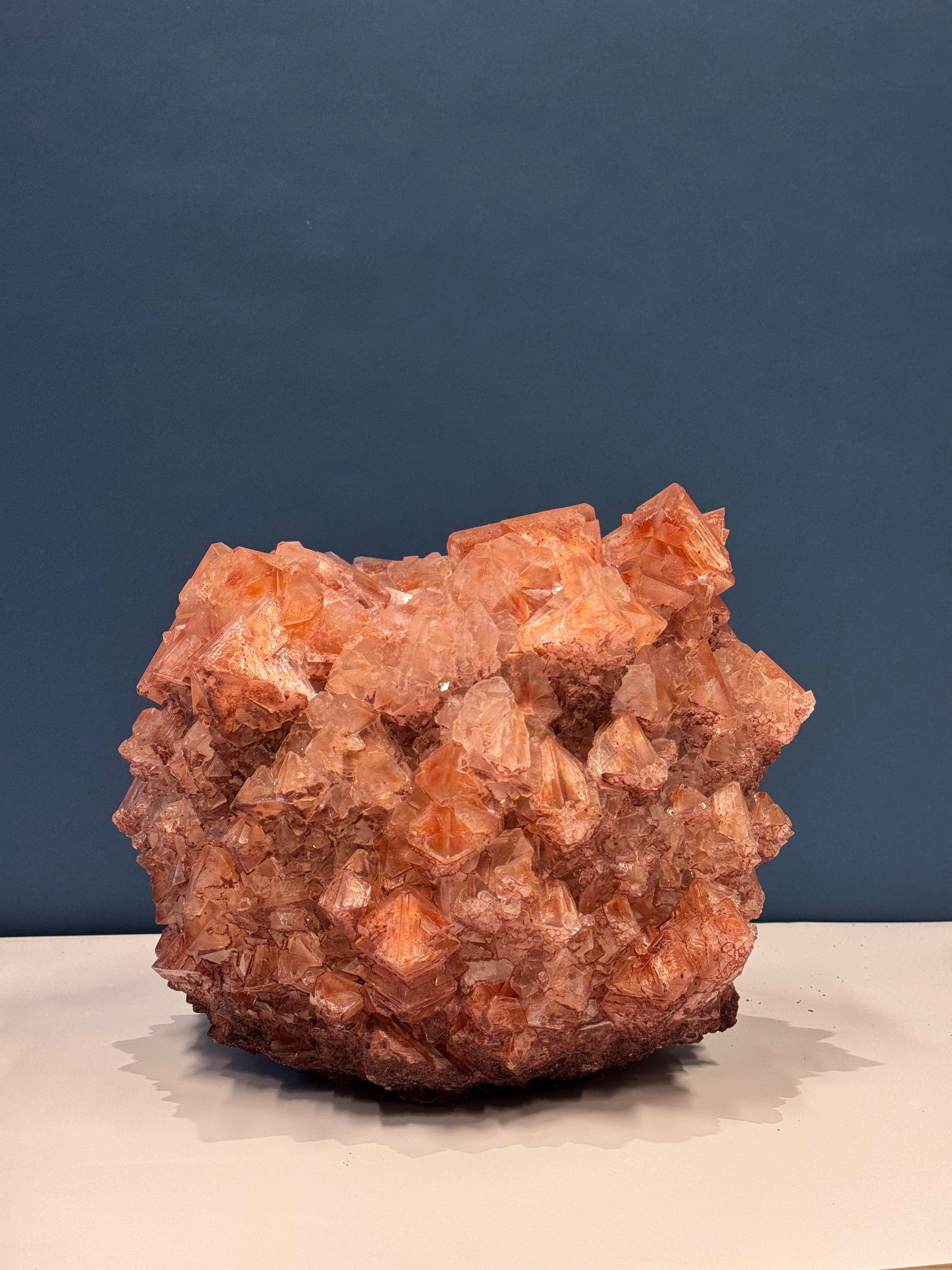 Medium Vase - Chestnut