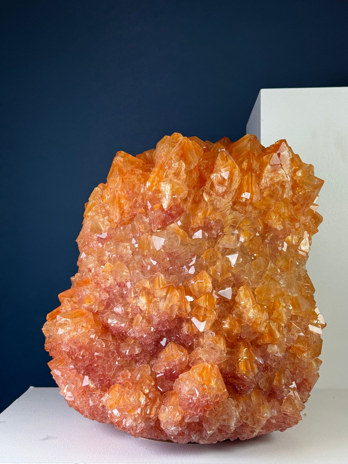 Crystal Vase Large - Nemo