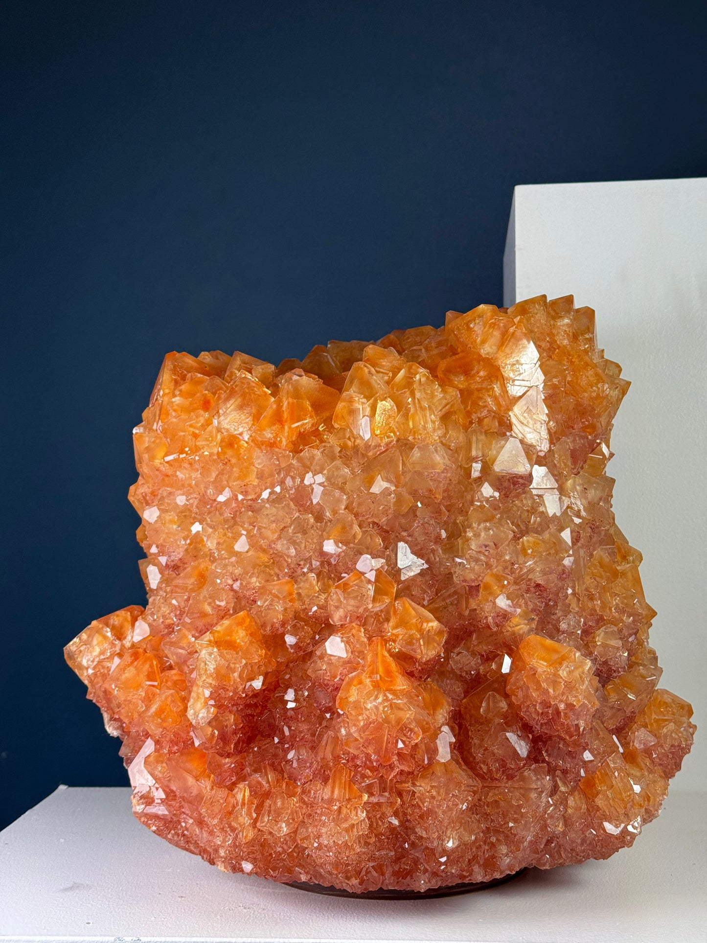 Crystal Vase Large - Nemo