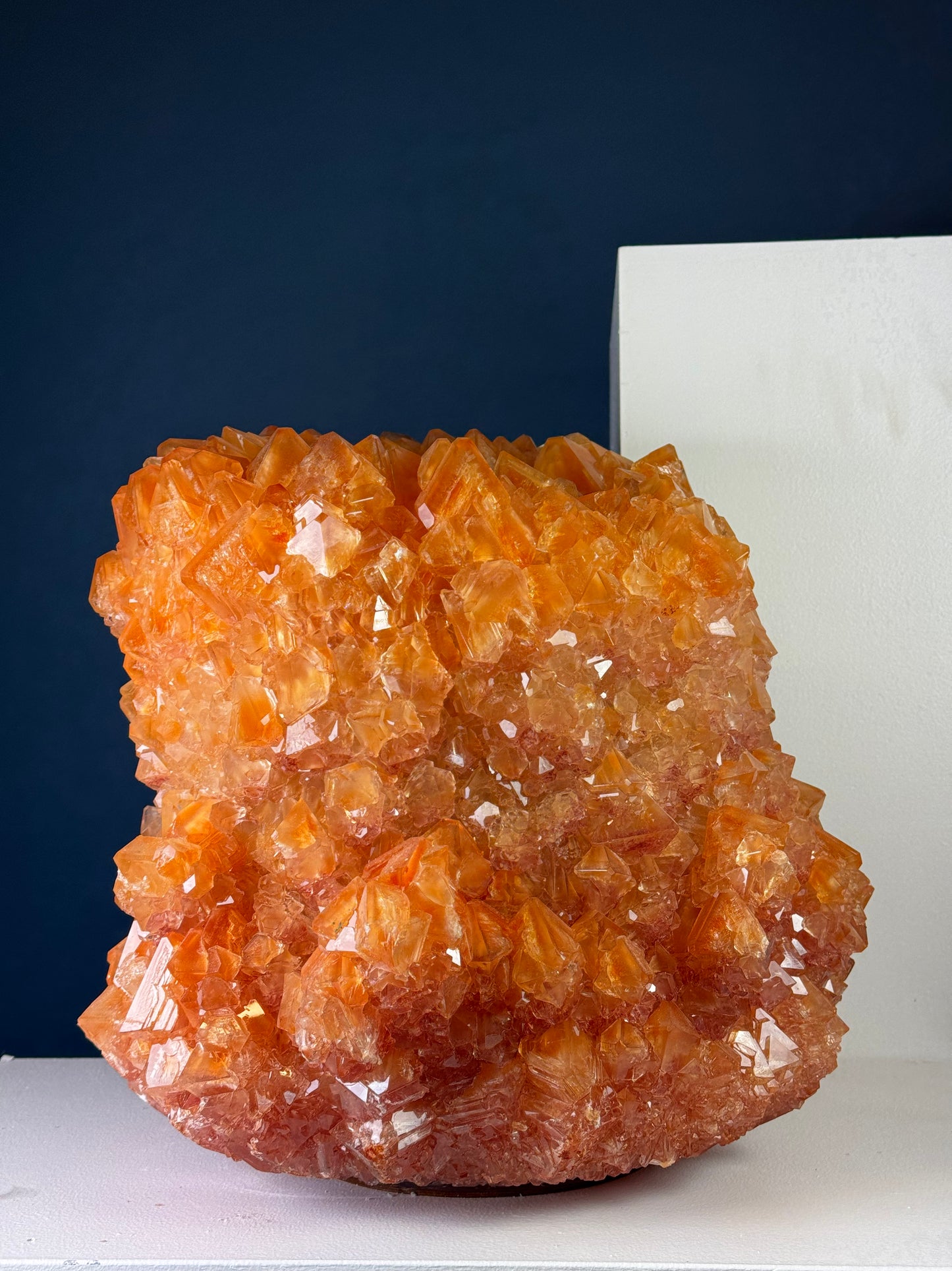 Crystal Vase Large - Nemo