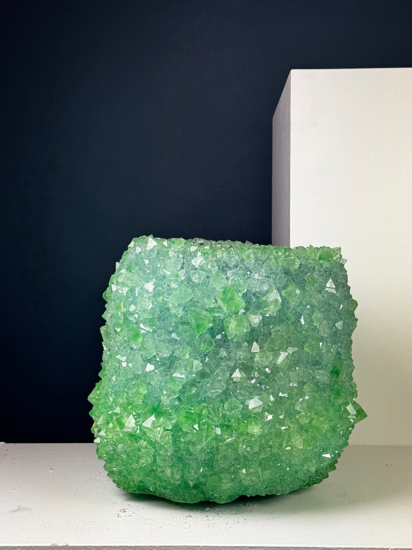 Crystal Vase Large - Perroquet