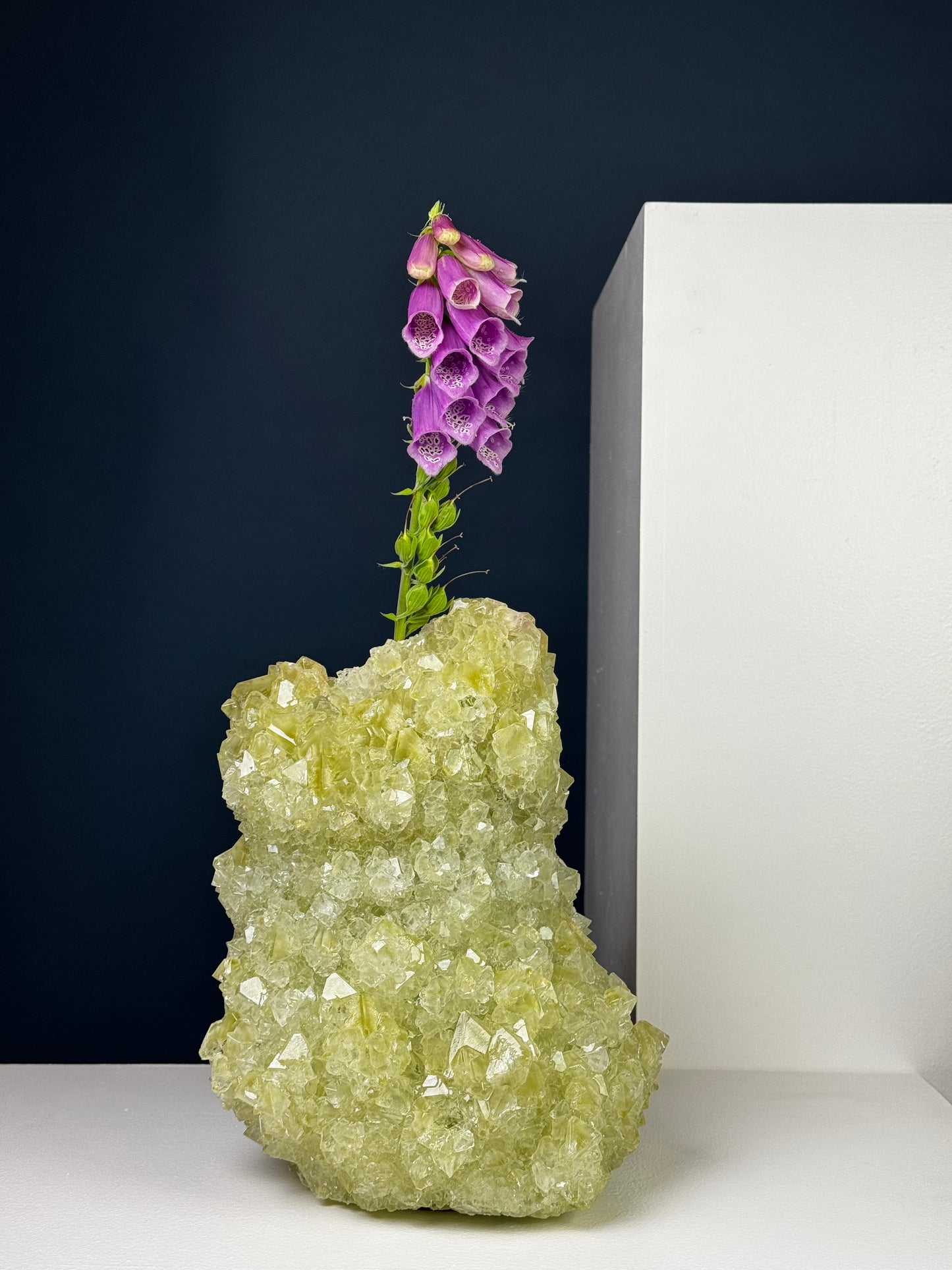 Small Vase XXL - Avocado