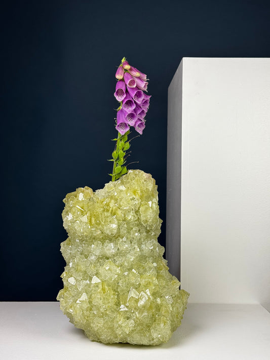Small Vase XXL - Avocado