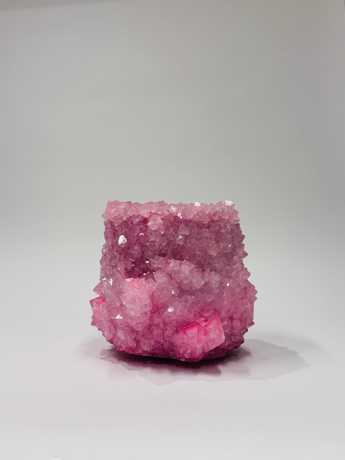 Medium Vase - Bubblegum