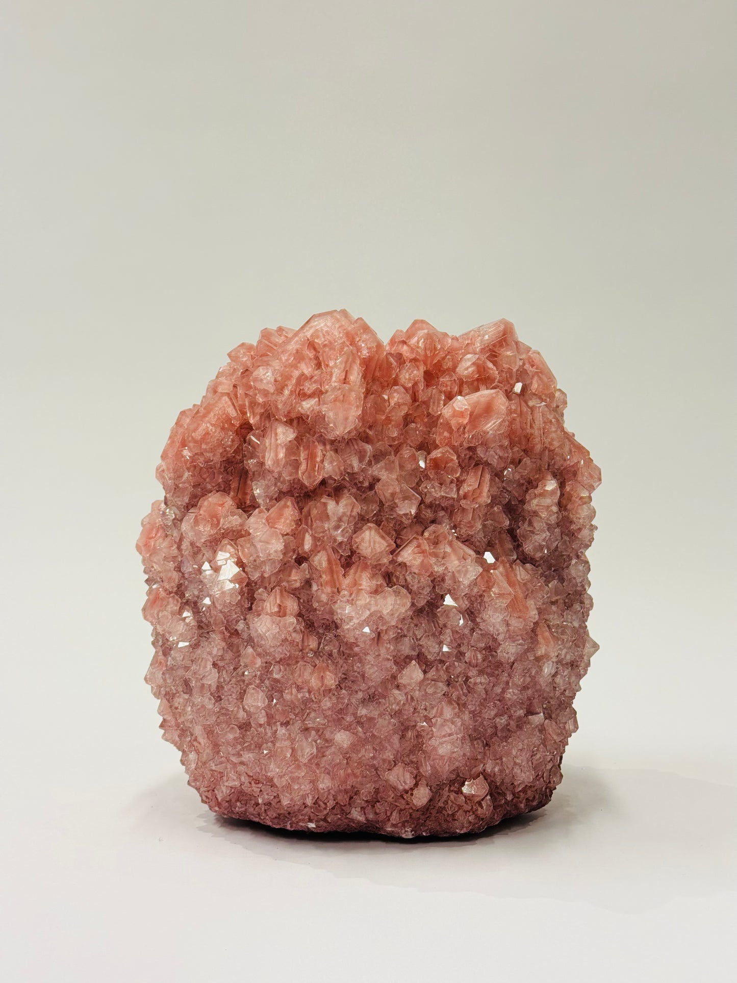 Medium Vase - Grapefruit