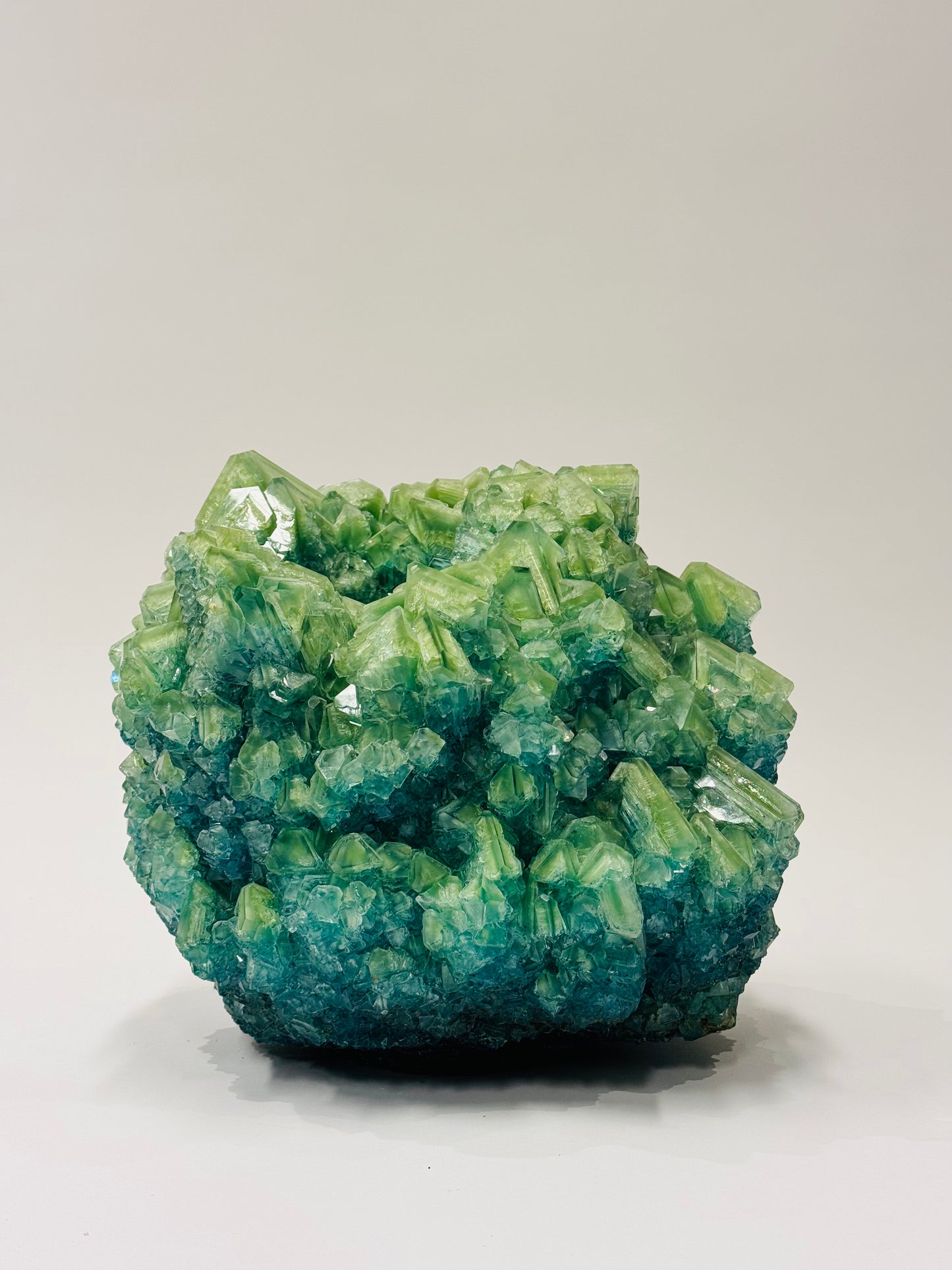 Medium Vase - Harlequin