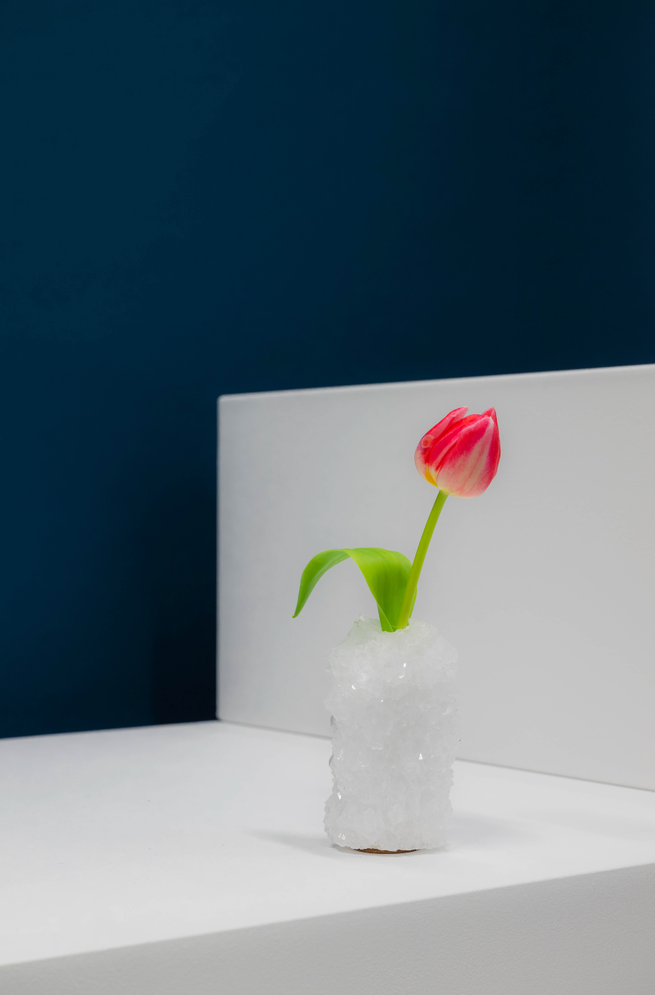 Mini Vase - White