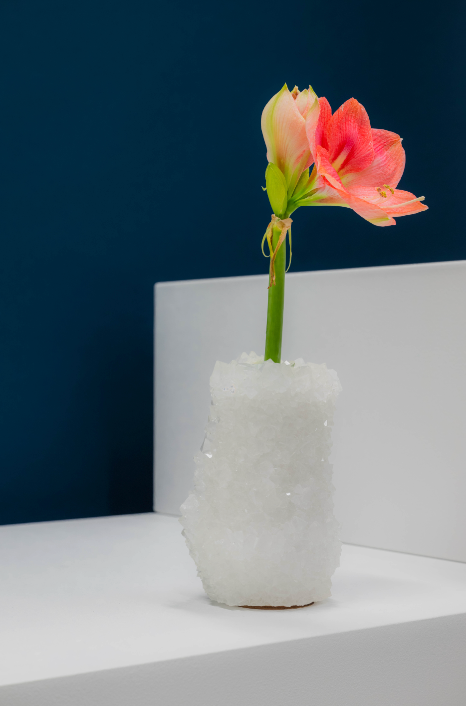 Small Vase - White