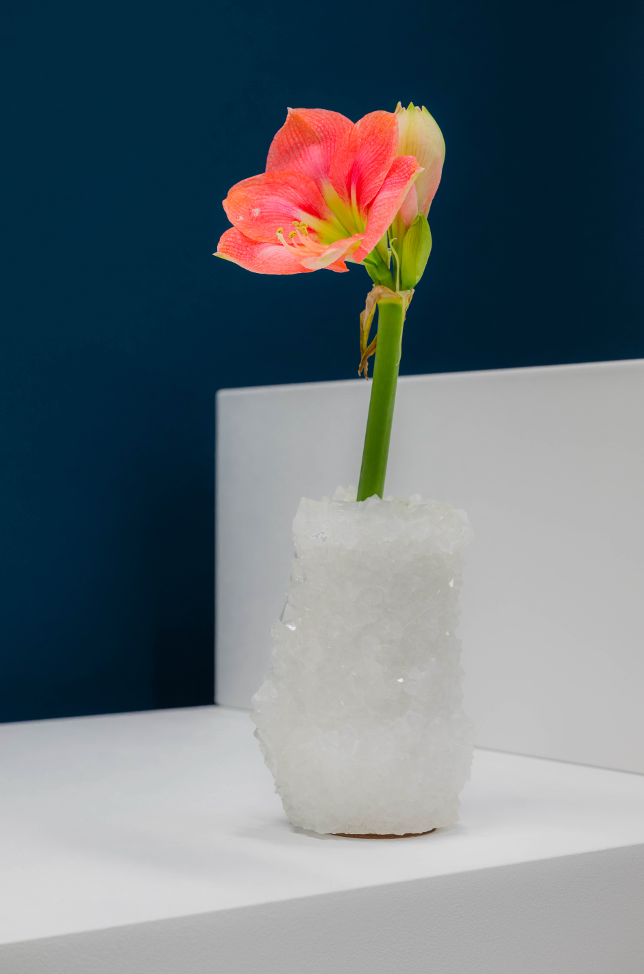 Small Vase - White